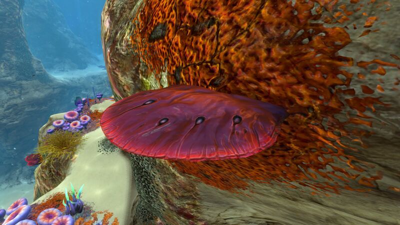 File:Table Coral (1).jpg