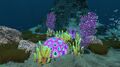 Purple Brain Coral, with other types of flora in the Mountains