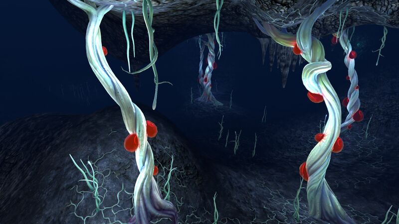 File:Blood Cave Root (01).jpg