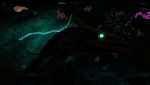 Boneshark5.jpg