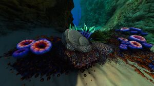 DeadSlantedShellPlate.jpg