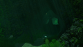Thumbnail for version as of 00:12, 5 July 2017