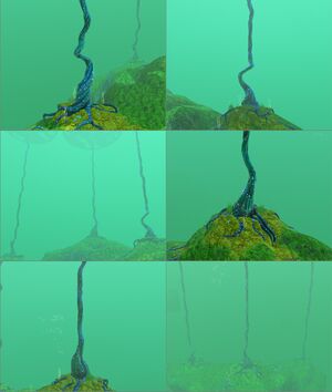 Lillypad in engine 02.jpg