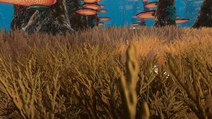Mushroom Forest (4).jpg