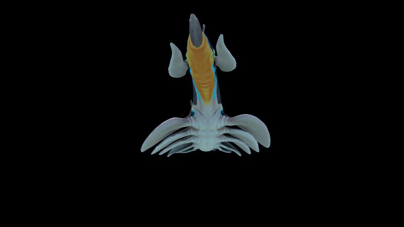File:Pinnacarid 4.jpg