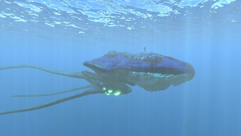 File:Reefback Sizeref.jpg