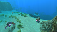 The Safe Shallows near the Grassy Plateaus