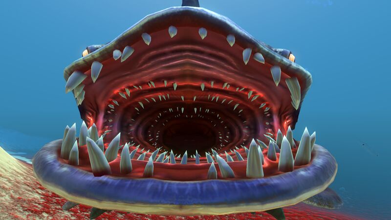 File:Sand Shark (8).jpg