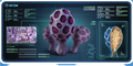 Thumbnail for version as of 15:13, 1 August 2017