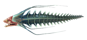 Spine Eel Fauna (BZ).png