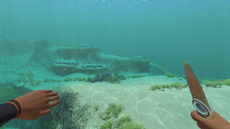File:Survival Knife 2.jpg
