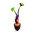 Antennae Fruit Icon.png