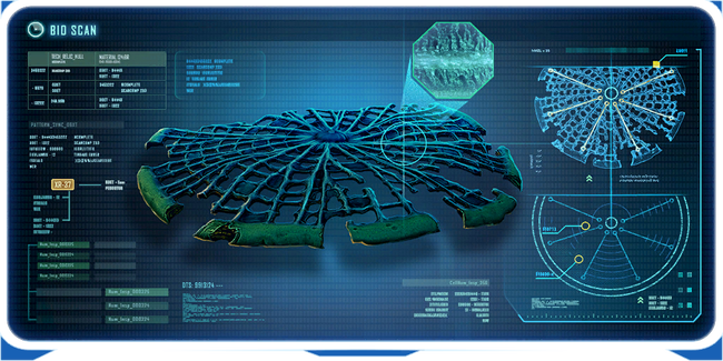 Fallen Lily Pad Ency.png
