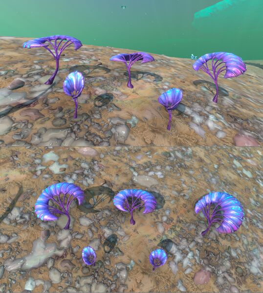 File:Generic plant 05 in game.jpg
