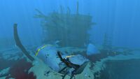 Grassy Plateaus Large Wreck 2