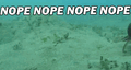 Thumbnail for version as of 18:36, 30 December 2016