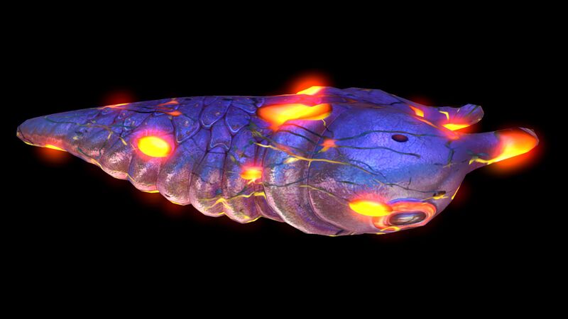 File:Infected Lava Larva (Black).jpg