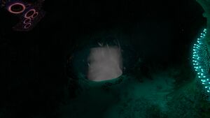 Lava Caves Connection.jpg