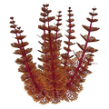 Thumbnail for version as of 02:06, 7 August 2021