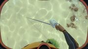 The Dive Reel in Use
