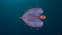 Bladderfish's model from Sketchfab