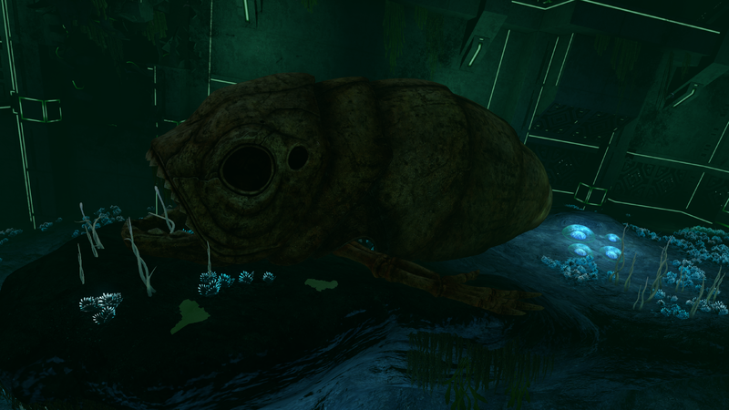 File:Aqauriumcreature.png