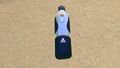 Large Filtered Water bottle on the seabed