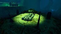 The Fossil Excavator