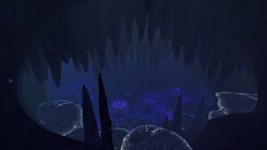 JellyCaves4.jpg