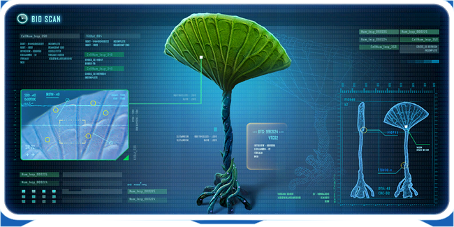 Lily Pad Stage 2 Ency.png