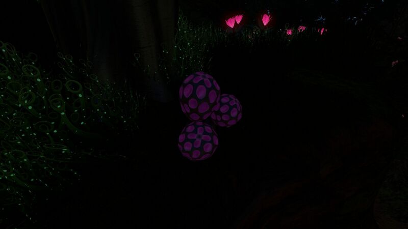 File:PurpleRattle (night).jpg