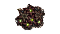 Starfish Fauna.png
