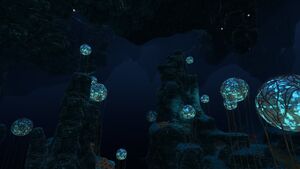 Deep Grand Reef (25).jpg