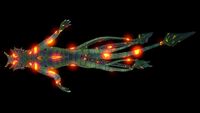 Infected Sea Dragon Leviathan-1.jpg