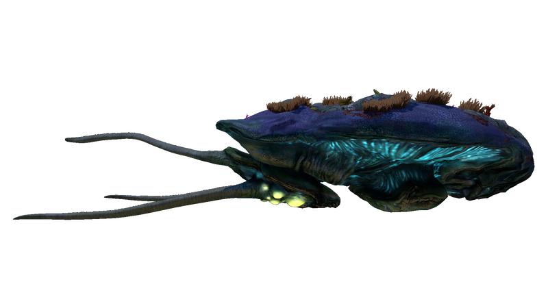 File:Reefback Fauna (BZ).png