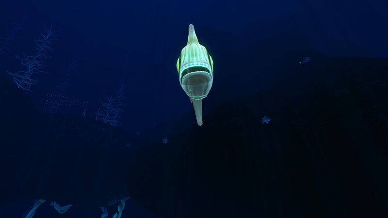File:Spinefish3.jpg