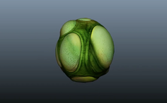 Subnautica egg1.png