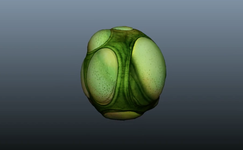 File:Subnautica egg1.png