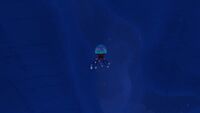 A single Eye Jelly in a crevice
