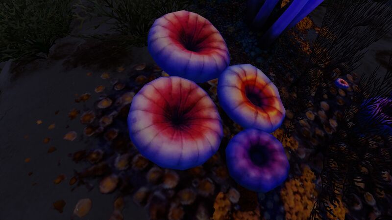 File:Acid Mushroom (4).jpg