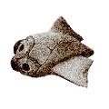 Thumbnail for version as of 17:47, 6 August 2021