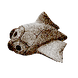 Cooked Triops Icon.png