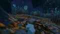 Deep Grand Reef (30).jpg