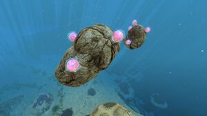 Floaters.jpg