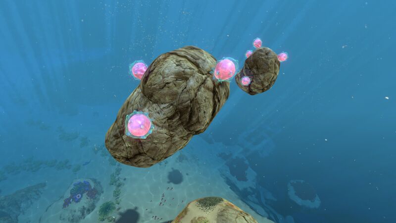 File:Floaters.jpg