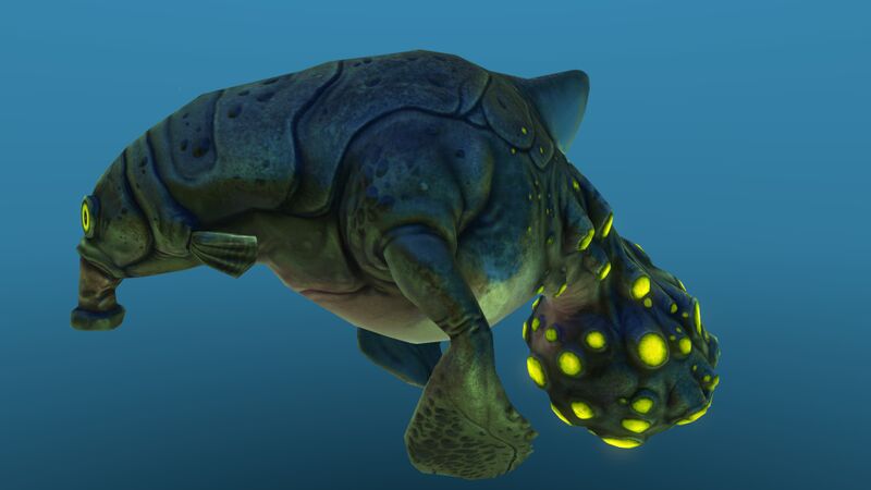 File:Gasopod 10.jpg