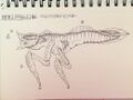 Thumbnail for version as of 12:03, 5 April 2017
