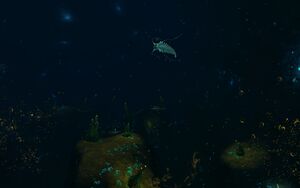 20170902152734 1.jpg