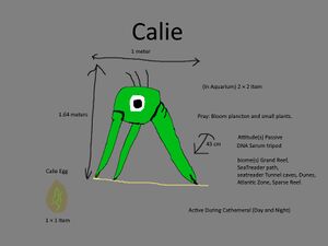 Calie Concept.jpg