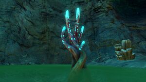 Crab Claw Kelp 2.jpg